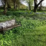לינה וארוחת בוקר Kilmahon House, P25a973