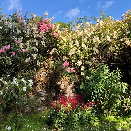 Bed & Breakfast Kilmahon House, P25a973