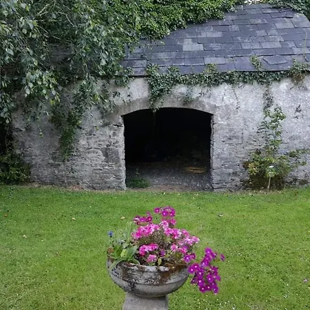 Kilmahon House, P25a973 Отель типа 