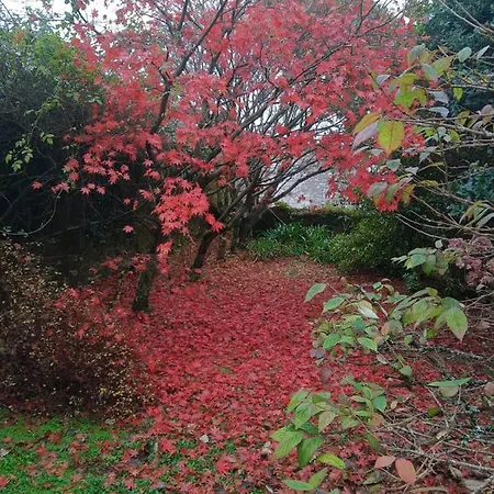 Kilmahon House, P25a973 Отель типа 