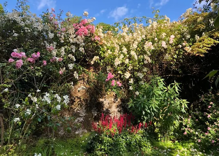 B&B Kilmahon House, P25a973