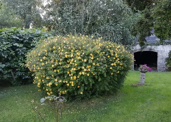 B&B Kilmahon House, P25a973