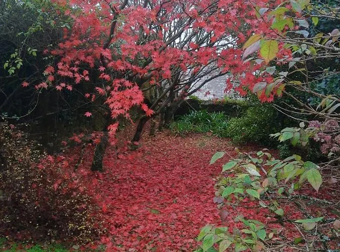 Kilmahon House, P25a973 B&B